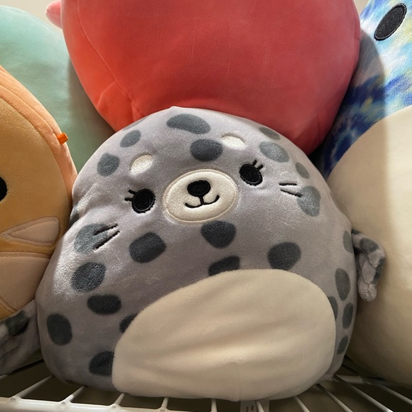 Squishmallows Toys Squishmallow Seal 5 Poshmark